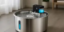 Acqua sempre fresca per il tuo gatto: la fontanella ultra silenziosa in doppio sconto