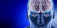 Così il nostro cervello emette luce, ecco perché
