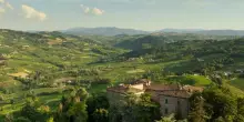 Un week-end tra i filari sulle colline pavesi nel nome del Pinot Nero