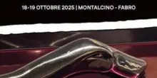 Il ruolo dell’arte per capire la realtà. Nuova edizione di ’Venti di ottobre’