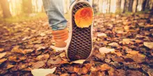 Ottobre in proverbi, tradizioni e folklore del mese (consiglio: non uscire senza ombrello)