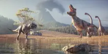 Gli scienziati hanno scoperto il cancro in un dinosauro