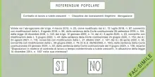 La spiegazione semplice dei 5 referendum dell’8 e 9 giugno 2025. Il fac-simile delle schede