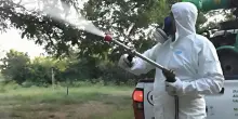 Altri due morti di West Nile in Campania: sale a 13 il bilancio delle vittime in Italia