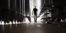 Zorzettig e il Friuli. I Colli Orientali dentro al calice