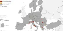 West Nile, morta un’altra donna di Latina: è la quarta vittima nel Lazio. Pregliasco: “Quando l’infezione parte è difficile fermarla”