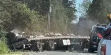 Usa, camion si ribalta: libere 250 milioni di api. Lo sceriffo: “State in casa”. Il video
