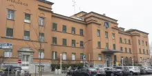 Nuova arma contro il glioblastoma, cellule su misura
