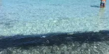 Malore per il caldo in spiaggia, due morti in Sardegna