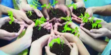 Verso un futuro più "green" grazie al sostegno dei cittadini a Legambiente tramite il 5x1