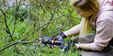 Libera il potenziale del tuo giardino con cesoie potenti e senza fili (oggi in offerta lampo)