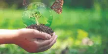Finanziare la ricerca scientifica per proteggere natura e biodiversità nei Parchi italiani