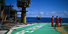 Petrobras ottiene l'approvazione di Ibama per il piano di protezione fauna