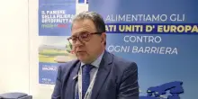 Gli Stati uniti d’Europa come risposta ai dazi Usa sull’agroalimentare