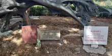 Roma, danneggiata la lapide davanti al monumento dedicato a Matteotti