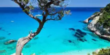 Consumatori, prezzi proibitivi, fino 950 euro per voli Sardegna