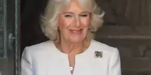 Il coraggio di Camilla: "Si tolse una scarpa e colpì un molestatore"