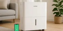 Il miglior alleato contro muffa e odori: il deumidificatore smart con Wi-Fi, in promo lampo del 21%