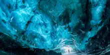 Eccezionale scoperta in Norvegia, ritrovate in una grotta artica 46 specie dell’era glaciale