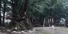Alzato livello allerta inondazioni in alcune zone del Texas