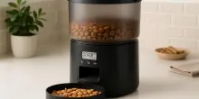 Addio ciotole vuote: il distributore automatico che coccola il tuo gatto è ora scontato su Amazon