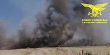 Fiamme vicino all'aeroporto di Olbia, voli dirottati