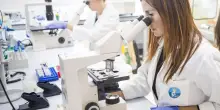 Lotta contro il cancro. La missione di Airc a sostegno della ricerca