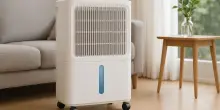 Non sopporti più muffa e aria pesante? Risolvi i tuoi problemi con questo deumidificatore: offerta al -29%