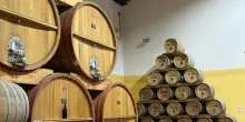 Cantine Pellegrino. Quando il Marsala racconta la storia