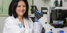 Lotta al cancro, maxi raccolta fondi Esselunga