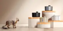 Fontanella per gatti in acciaio inox: design elegante e funzionalità avanzate, non lasciartela sfuggire