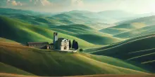 San Francesco d'Assisi: Vita, Miracoli e Celebrazioni nel Mondo