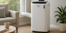 Estate rovente? Il Pinguino De'Longhi (l'originale) ti salva dall'afa: ben 176€ di sconto