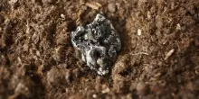 Terre rare, la Cina chiude i rubinetti. Europa in allarme: tremano automotive e Difesa