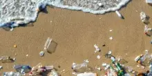 Mediterraneo da proteggere. Piccoli gesti, grande impatto