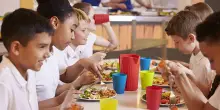 Mense scolastiche. L’integrazione passa da una buona tavola