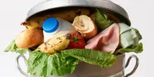 Italiani spreconi: buttiamo oltre mezzo chilo di cibo alla settimana. Ma perché?