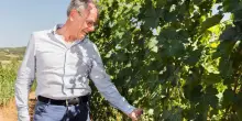 Il lungo viaggio dei vini La Pace: dalla terra toscana fino a Singapore