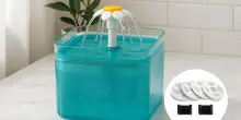 Acqua fresca per i tuoi mici: fontanella silenziosa in super promozione per poche ore