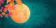 Superluna, comete e stelle cadenti da osservare: il cielo di ottobre 2025