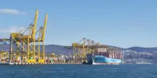 Porto di Trieste: calo del 4,25% nel primo trimestre 2025, record per i container