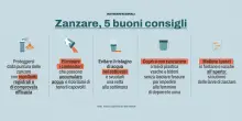 West Nile, il virus corre con le zanzare. Ma cosa c’entrano colombacci, merli e cornacchie?