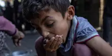Onu, quasi una persona su 3 a Gaza rimane per giorni senza cibo