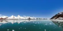 Caldo record nell'oceano Pacifico: "Morti uccelli marini e mammiferi". Paura per le tempeste invernali