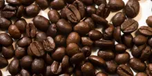 Il mondo del caffè: sostenibilità e innovazione al centro del futuro