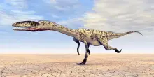 Patagonia, scoperto un nuovo predatore simile al T-Rex: morì mentre divorava un antico coccodrillo
