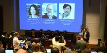 Chi sono i Nobel per la Medicina 2025 e perché è importante la tolleranza immunitaria periferica