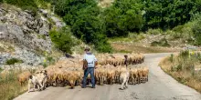 Grecia, lo scandalo sui sussidi agricoli europei getta il panico tra i piccoli coltivatori diretti