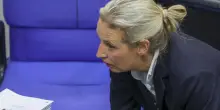 Afd, Merz si faccia da parte, servono elezioni anticipate