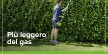 Non perdere l'occasione e risparmia il 15%: Greenworks, il tuo alleato per siepi perfette